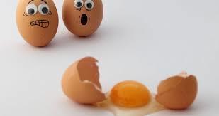 egg drop